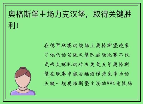 奥格斯堡主场力克汉堡，取得关键胜利！